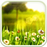 spring live wallpaper android application logo